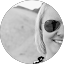 Dominika Zagorski Avatar